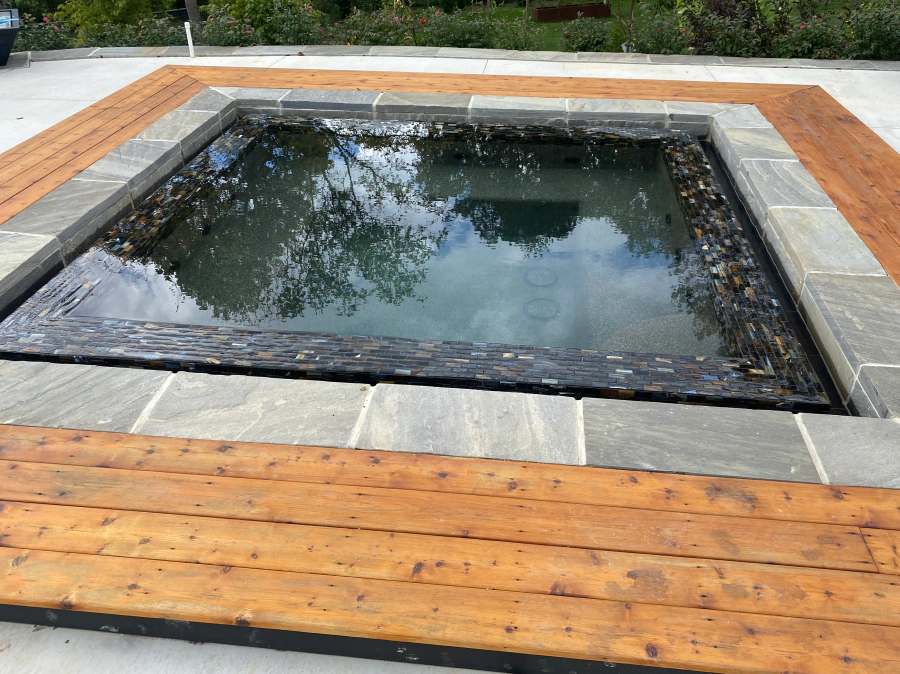 Discover Professional Pool Services in Brevard, NC